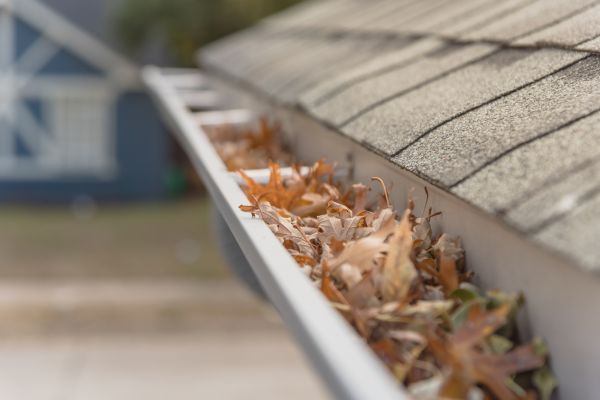 Leaf Barrier Installation in Sidney